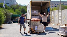 יום החתול הבינלאומי, צילום: יניב כאדר